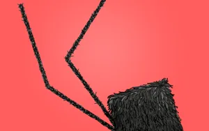 Daddy Long Legs